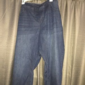 Plus size Jeggings! Brand new!